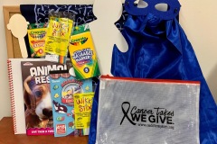 Cancer Comfort Kit & Busy Bag Fills